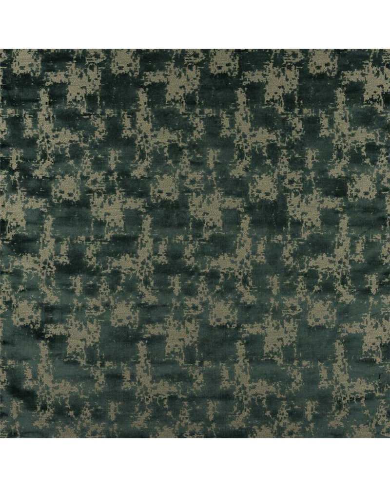 Lanius Forest J0205-01 Lanius Forest J0205-01