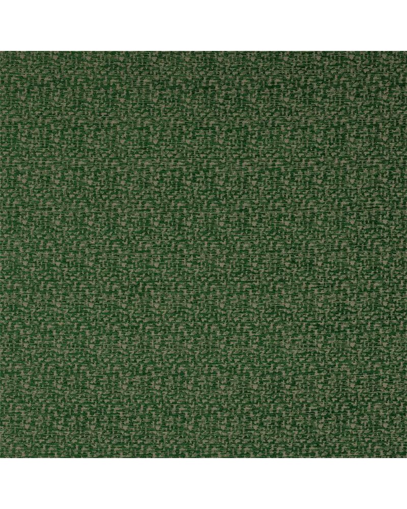 Buteo Emerald J0212-0l Buteo Emerald J0212-0l