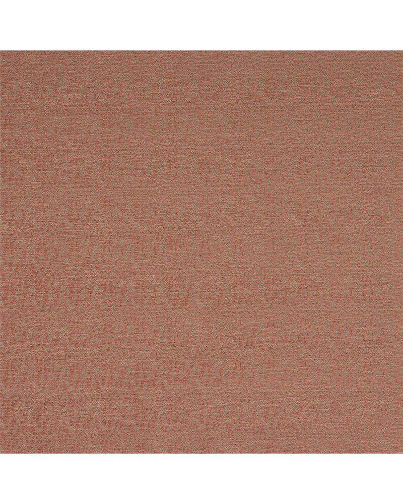 Buteo Pink J0212-02 Buteo Pink J0212-02