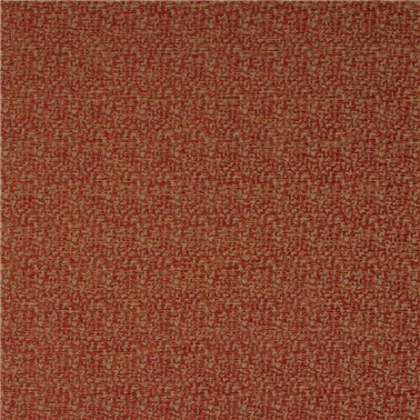Buteo Red J0212-01