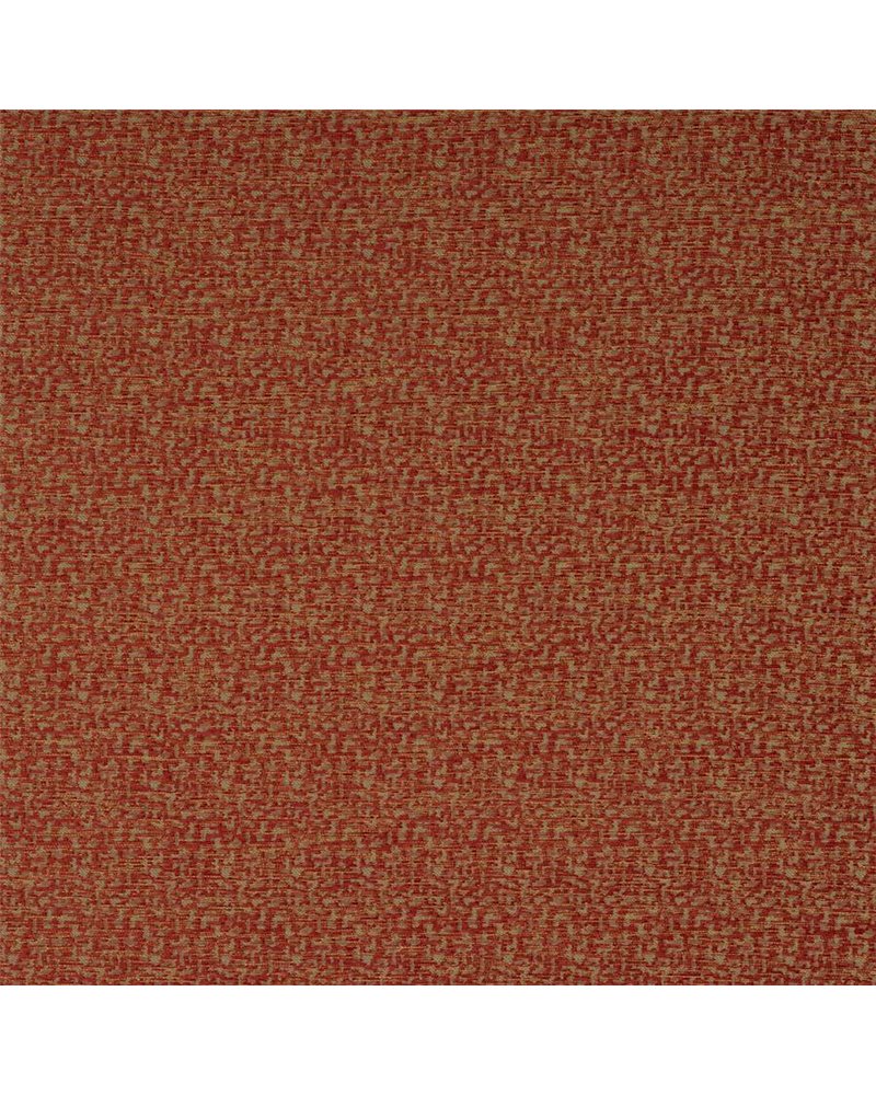 Buteo Red J0212-01 Buteo Red J0212-01