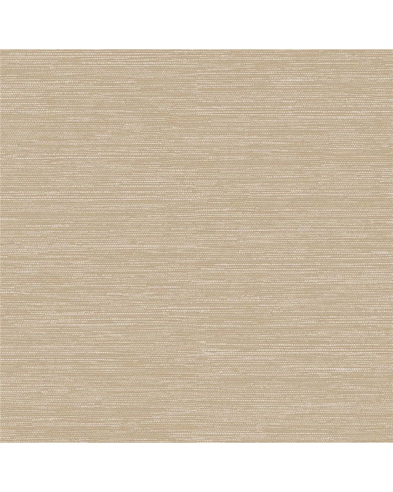 Texere Desert AMA302 Texere Desert AMA302