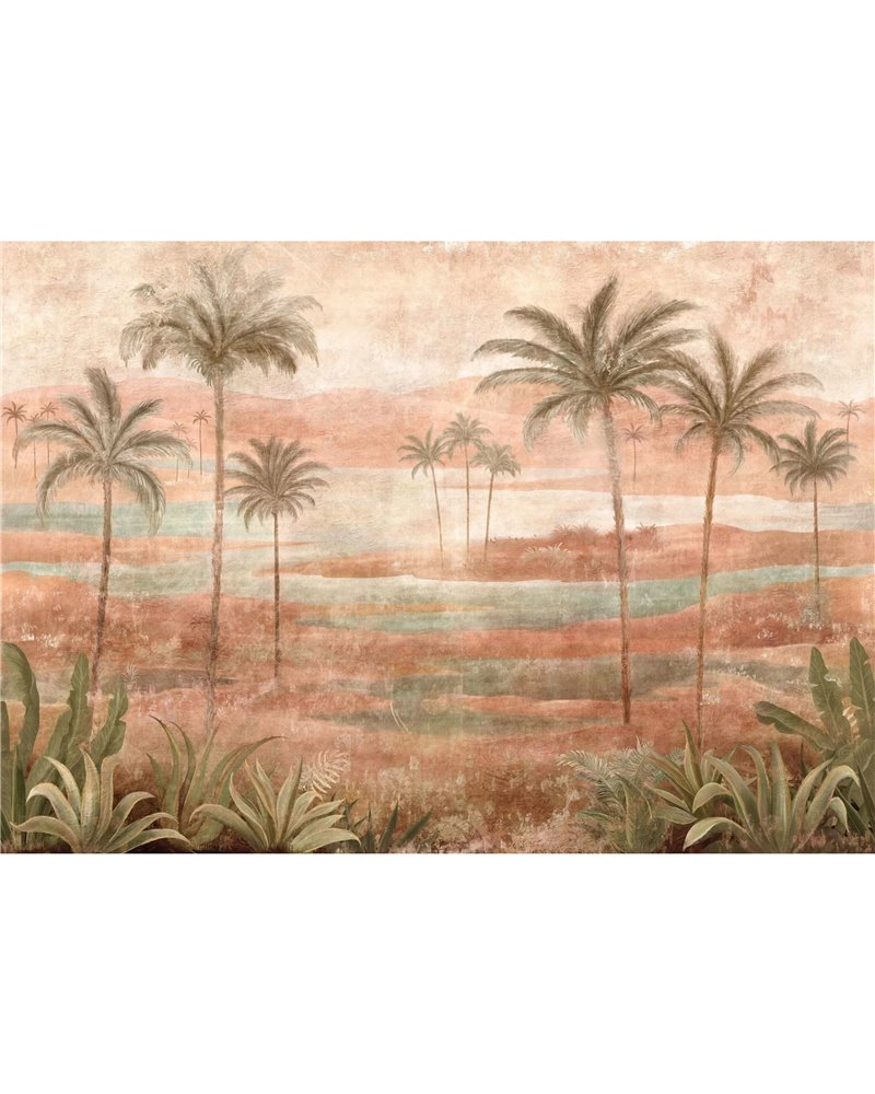 Draa Palms Rose B00453 Draa Palms Rose B00453