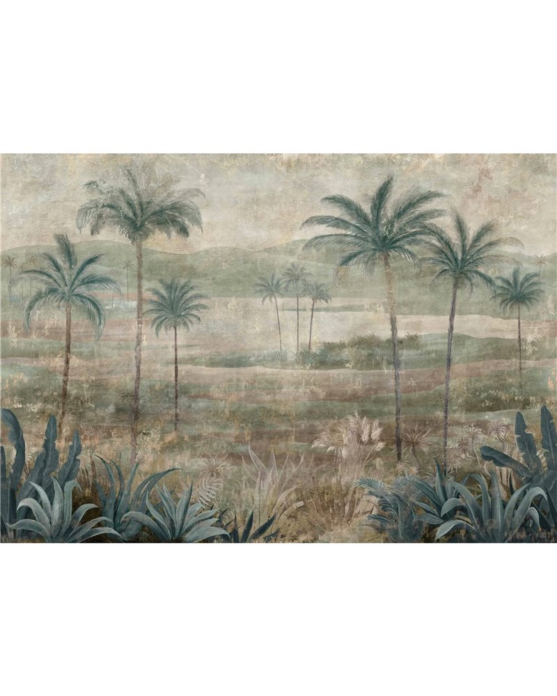 Draa Palms Sage B00454 Draa Palms Sage B00454