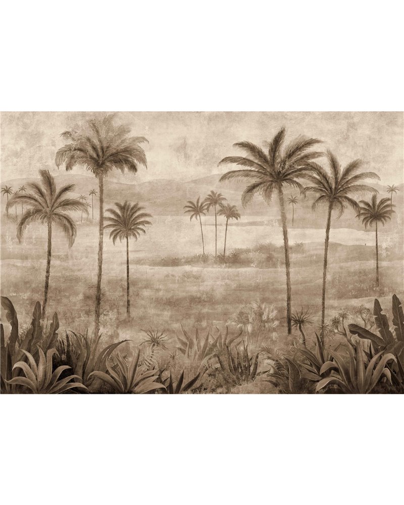 Draa Palms Bone B00455 Draa Palms Bone B00455