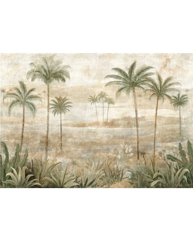 Draa Palms Leaves B00452 Draa Palms Leaves B00452