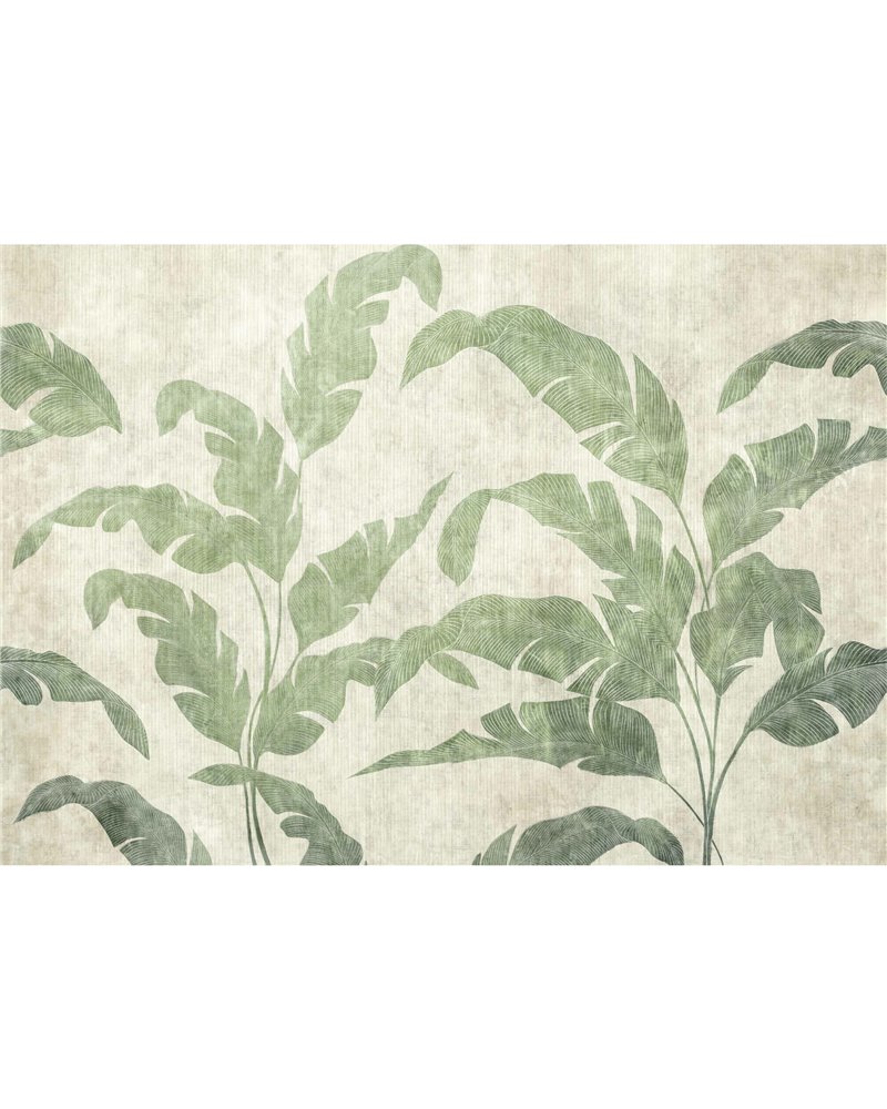 Leaves Shadow Leaves B00468 Leaves Shadow Leaves B00468