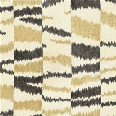 Agafay Desert Zebra B00400