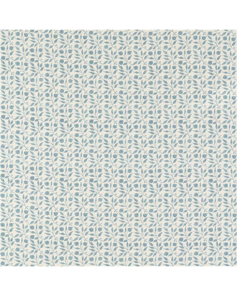Rosehip Mineral Blue MAMB227108 Rosehip Mineral Blue MAMB227108