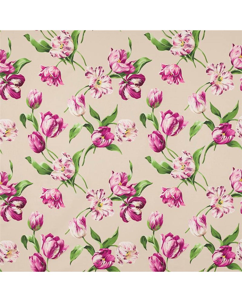 Polina Fuchsia SableM4103-02 Polina Fuchsia SableM4103-02