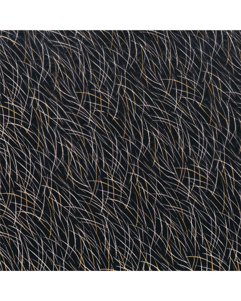 Euphorbe Noir 46060334 Euphorbe Noir 46060334