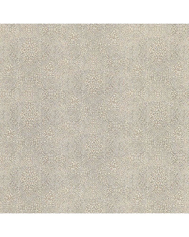 Margay Wheat W7970-01 Margay Wheat W7970-01