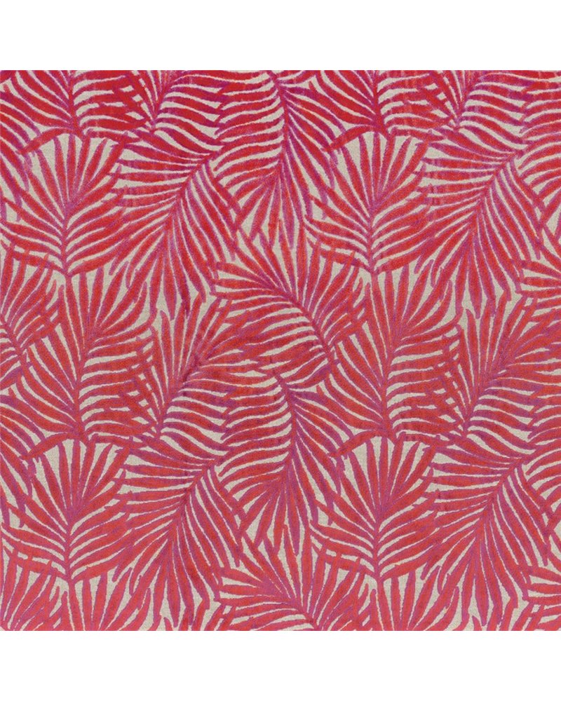 Cica Fuschia 46440523 Cica Fuschia 46440523