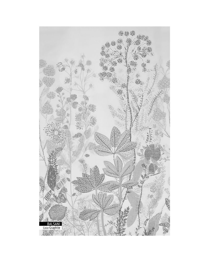 BALSANI GRAPHITE BALSANI GRAPHITE