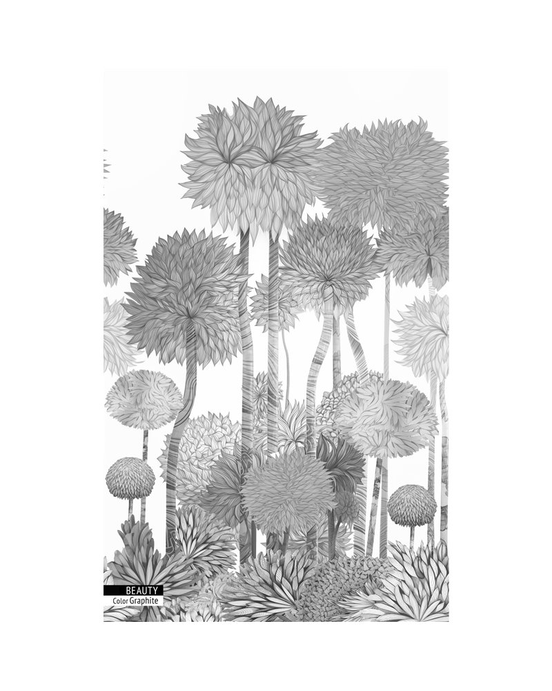 BEAUTY GRAPHITE BEAUTY GRAPHITE