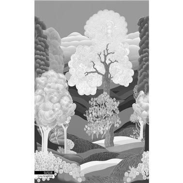 SUSUR GRAPHITE