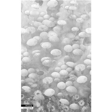 MEDUSE GRAPHITE