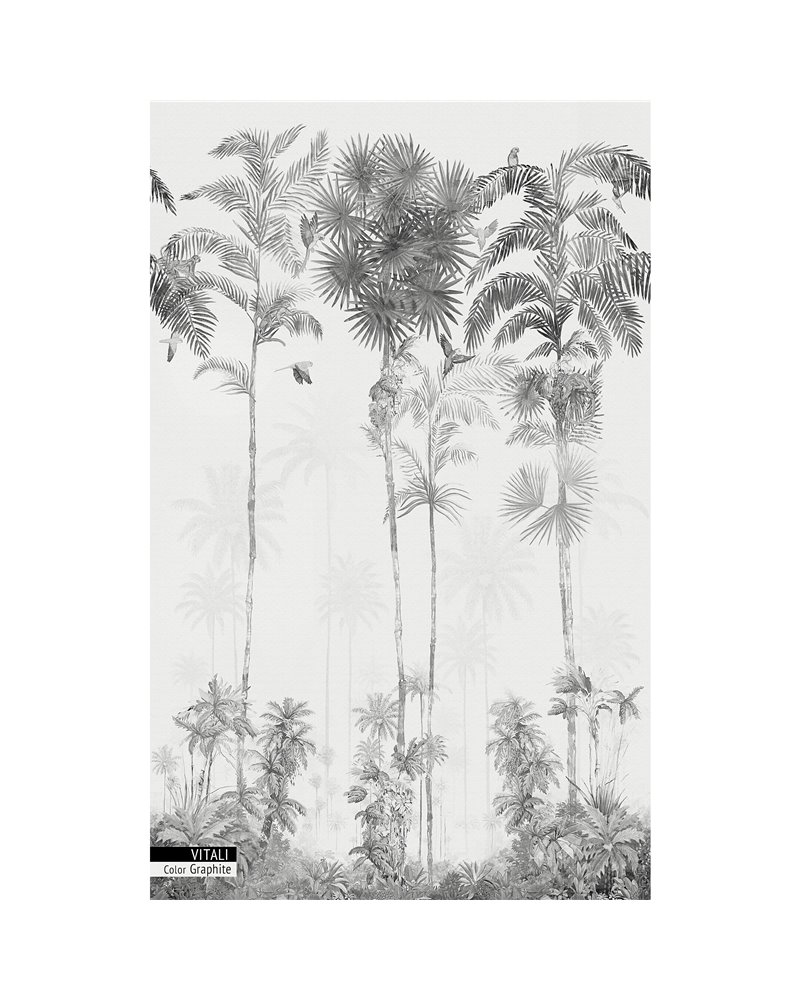 VITALI GRAPHITE.webp