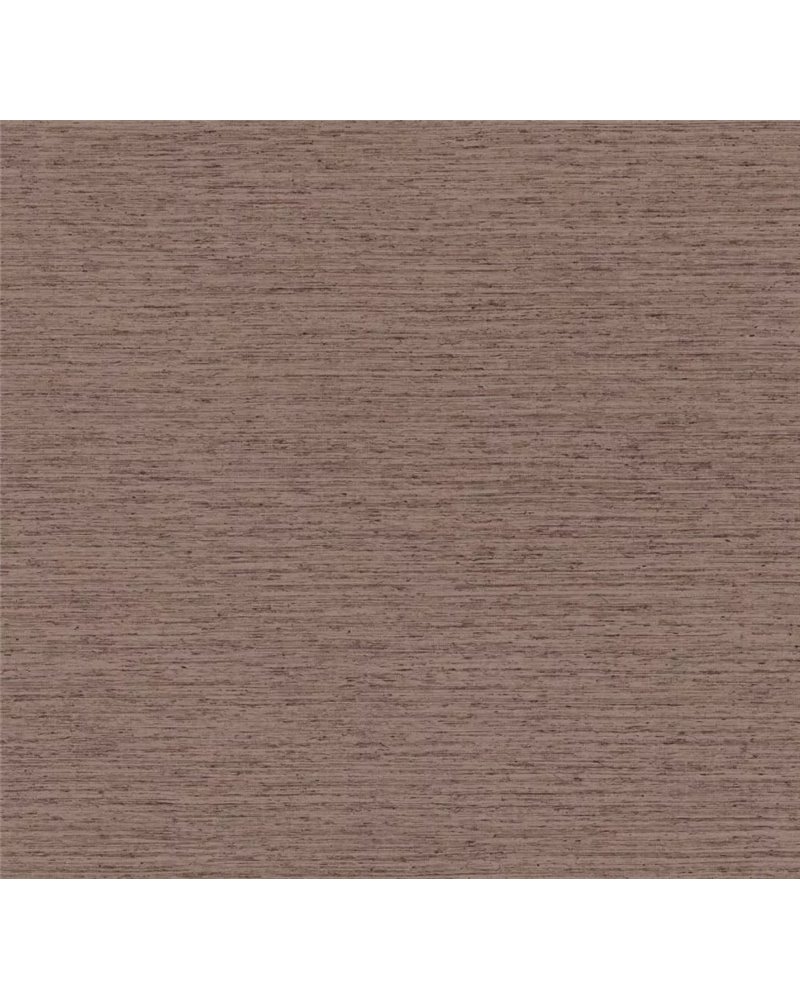 Motas Cocoa 73512.webp Motas Cocoa 73512.webp