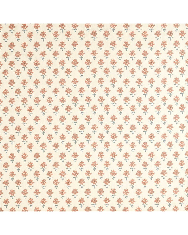 Fellcroft Rose HHHD121259 Fellcroft Rose HHHD121259