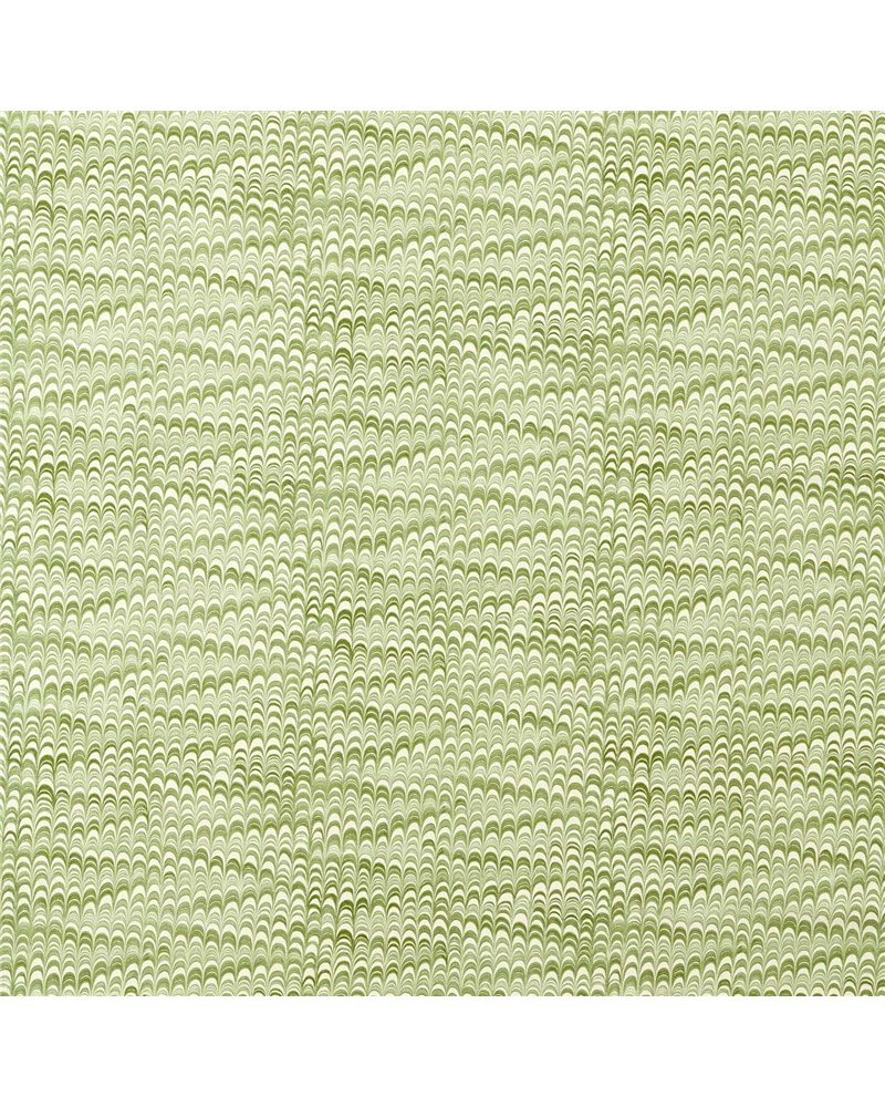 Washi Matcha HHHD121262 Washi Matcha HHHD121262