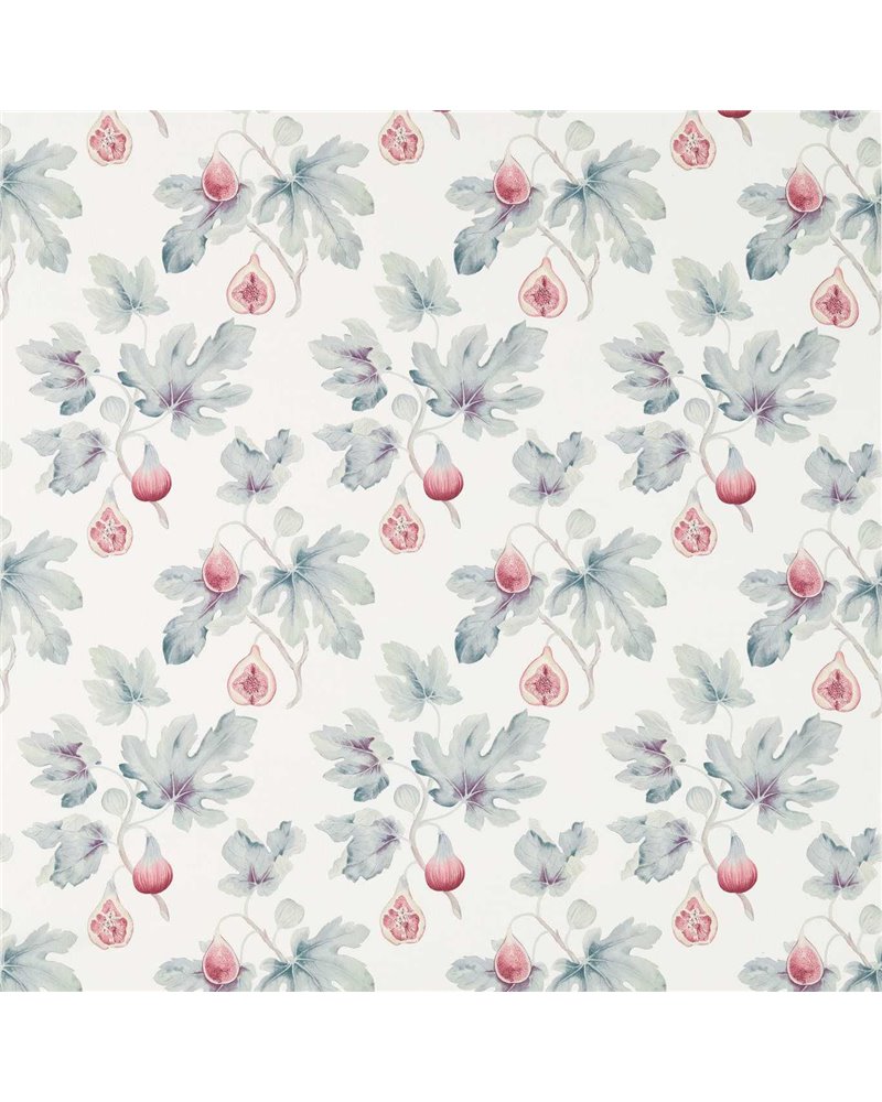 Fig Harvest Chalk Orchid DART226330 Fig Harvest Chalk Orchid DART226330