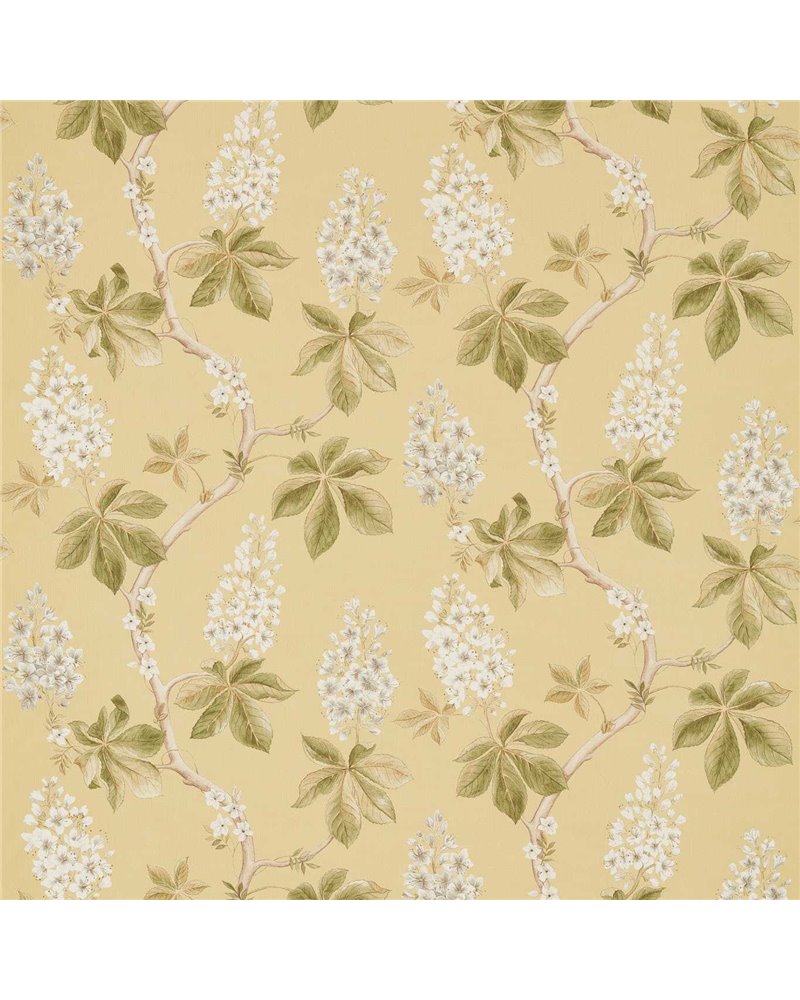 Chestnut Tree Lemon Lettuce DWOW225516 Chestnut Tree Lemon Lettuce DWOW225516