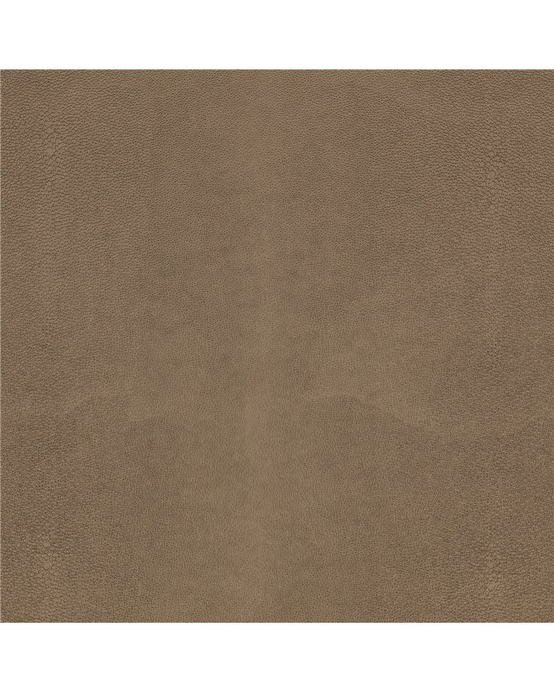 Shagreen Asteroid K5357-04 Shagreen Asteroid K5357-04