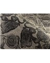 Coccinella Bella Jacquard – Black & Ivory MO5002