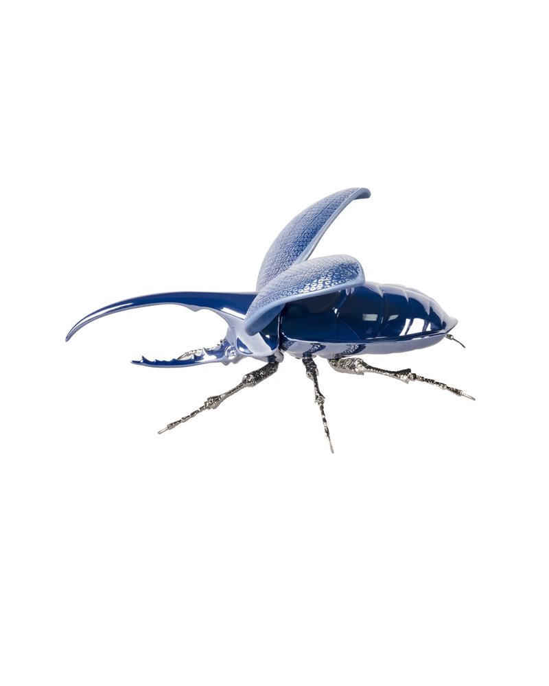 Escarabajo Hércules Escarabajo Hércules