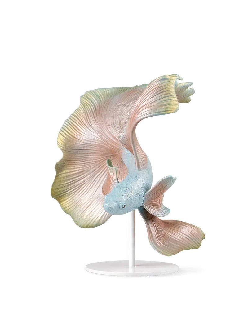 Pez Betta (izquierdo) Pez Betta (izquierdo)