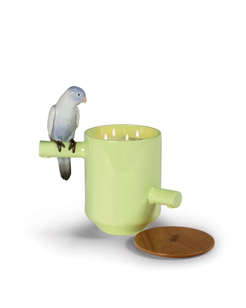 Vela Parrot Treasure (verde) Vela Parrot Treasure (verde)