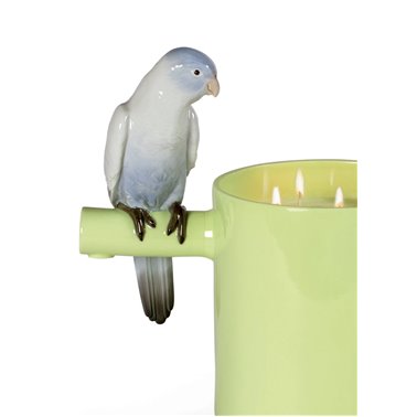 Candela Parrot Treasure....