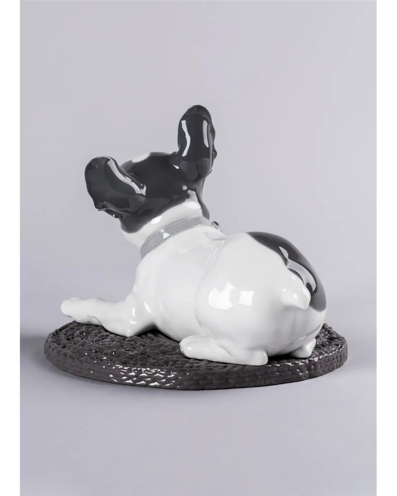 Bulldog francés con macarons