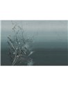 Whisper Di Fiori GLXIV492A