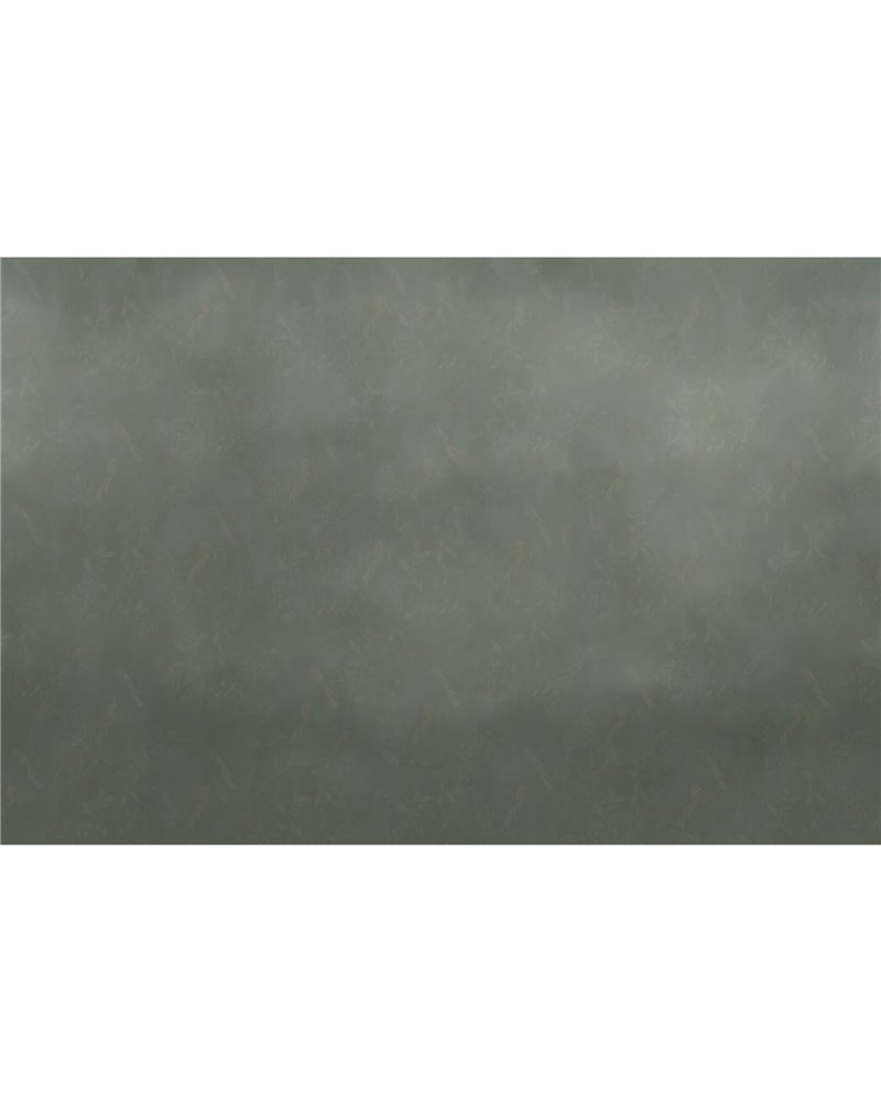 Voci Tra I Salici GLXIV541C Voci Tra I Salici GLXIV541C
