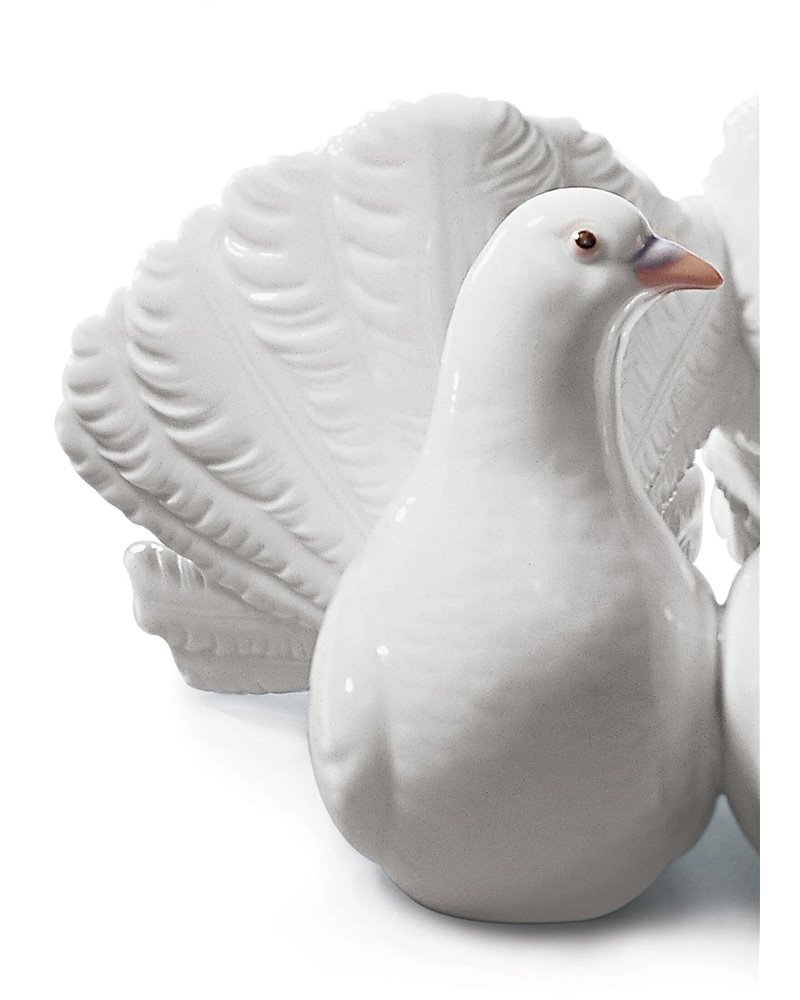 Pareja de palomas