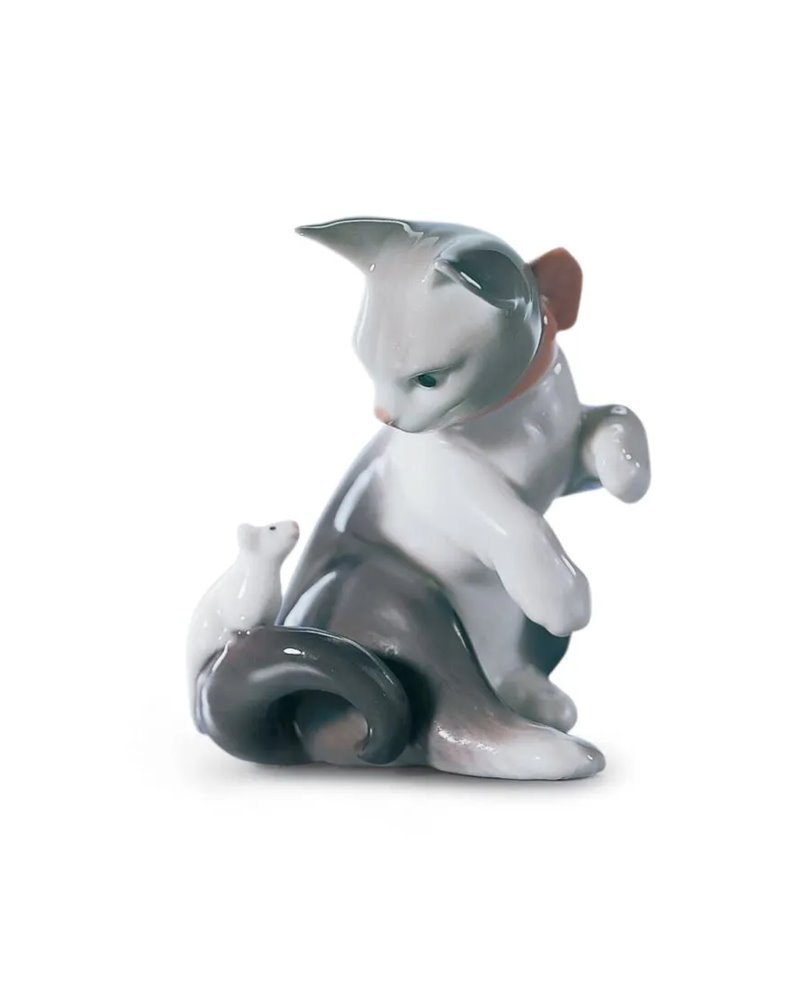Gatito pasmado Gatito pasmado
