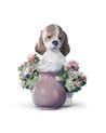 Perrito travieso