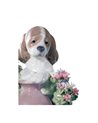Perrito travieso