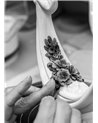 Flores del cielo