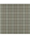 Casca de Elbury 7988-01