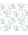 Bernadette Lac d'hiver VI81702