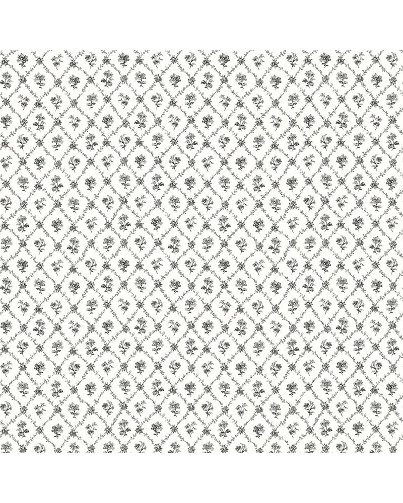 Cossette Licorice VI80400 Cossette Licorice VI80400