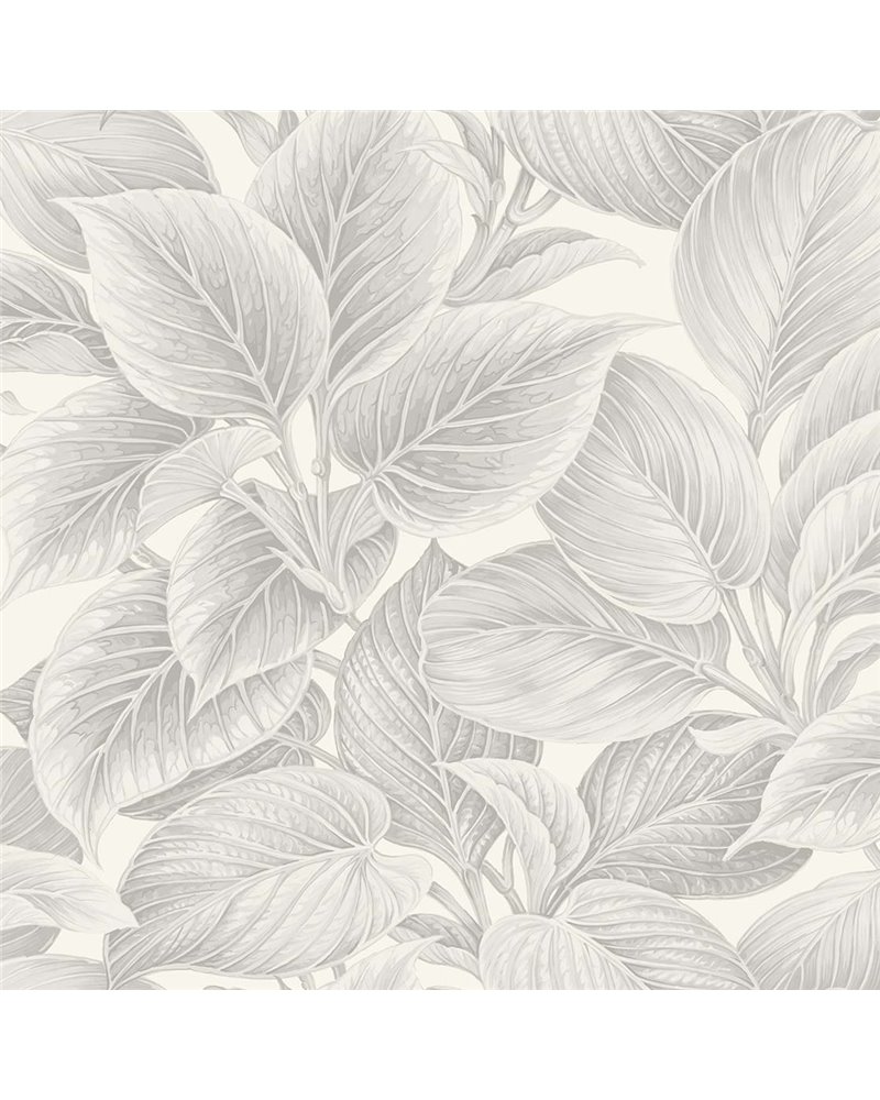Wasilla Soft Grey WS70308 Wasilla Soft Grey WS70308