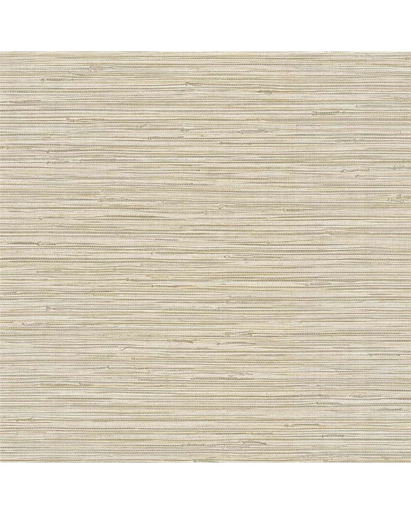 Eagle River Arrowroot WS71415 Eagle River Arrowroot WS71415
