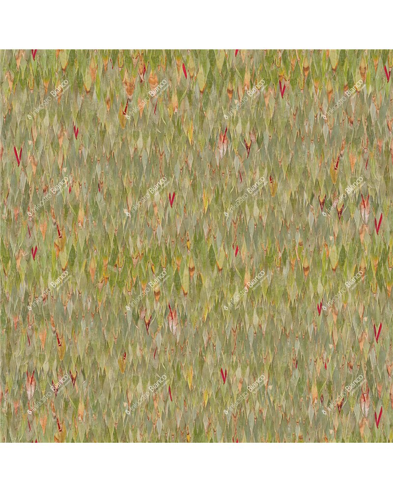 BAMBOO INKATOT2401