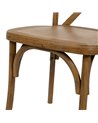 SILLA MARRÓN POLIPROPILENO CONTRACT 50 X 41,50 X 89 CM