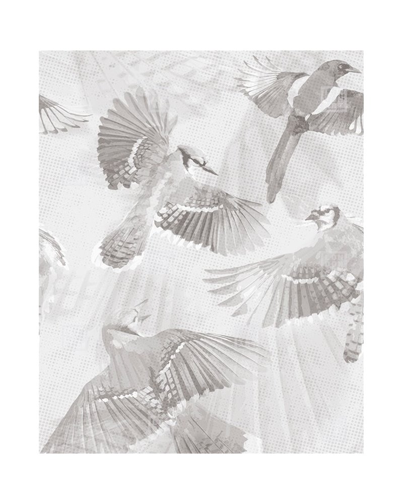 Symphonia 24046-1 Symphonia 24046-1