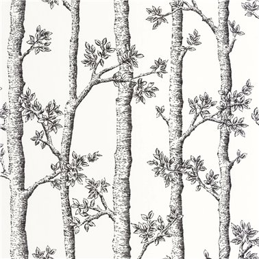 Automne Blanc 106120000